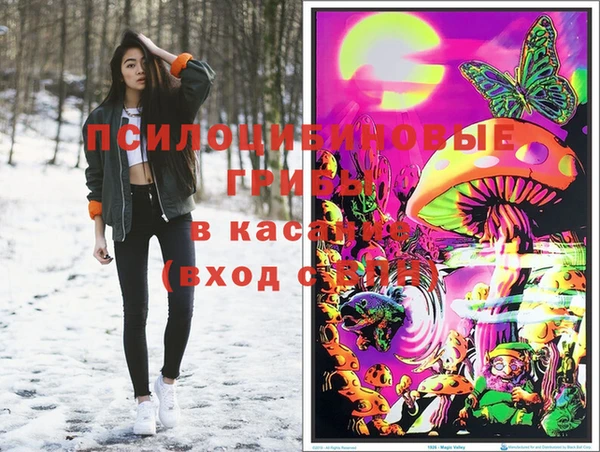индика Липки