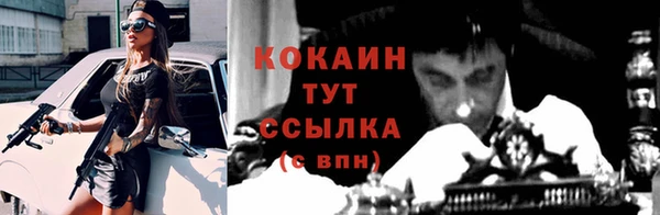 индика Липки