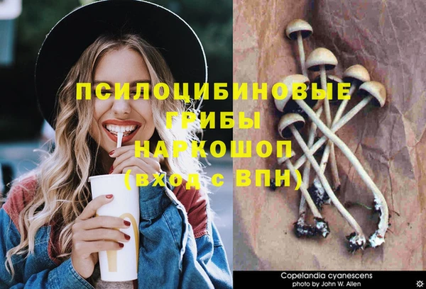 spice Бердск