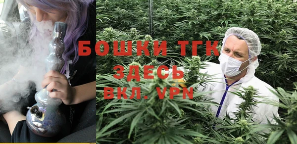 spice Бердск
